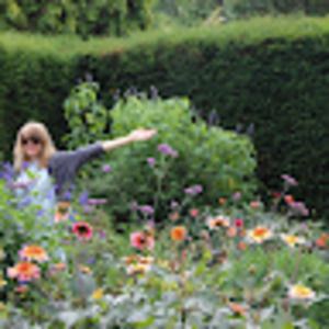 Meet your Posher, Meredith